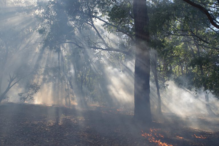 $500 million wildfire season generates talk about cooperation and learning