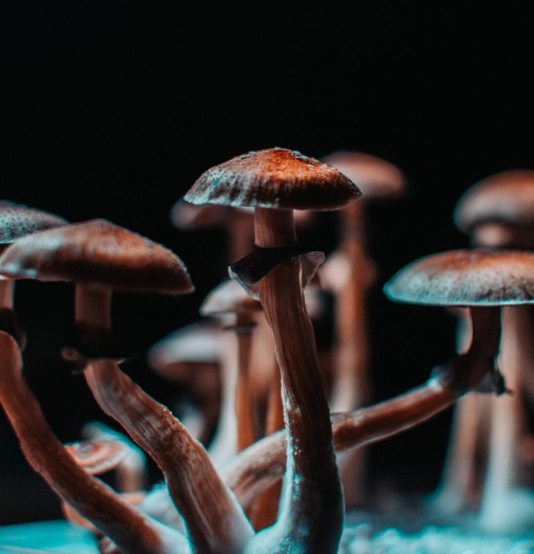 Advocates say psychedelics approval doesn’t go far enough