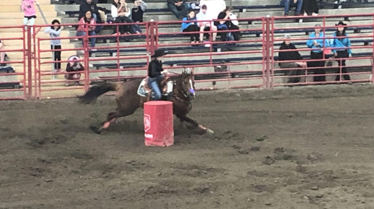 The Stampede is coming back to Williams Lake