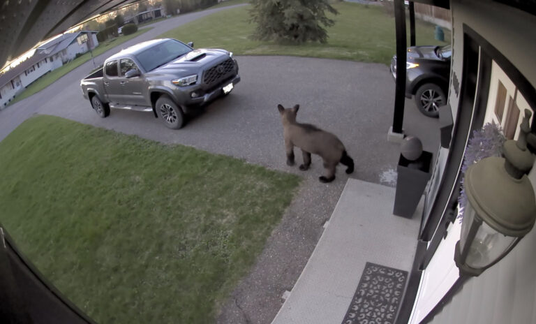 Conservation Officer gives reminder to be bear aware