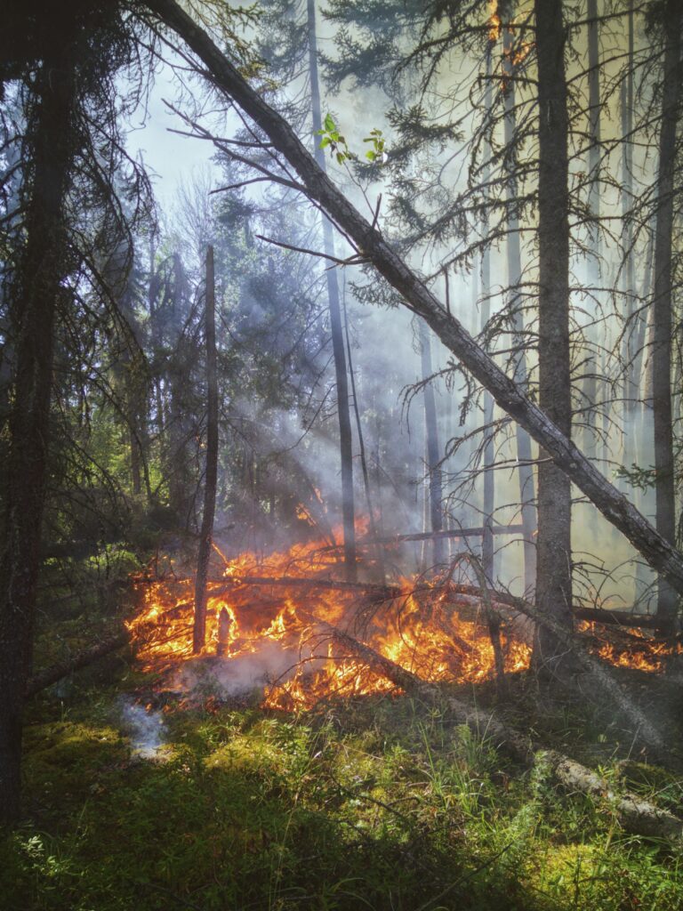 Team Rubicon takes nation wide disaster training to Ness Lake Bible Camp