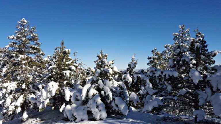 Update: Snowfall warning ends for Highway 16 to Alberta border