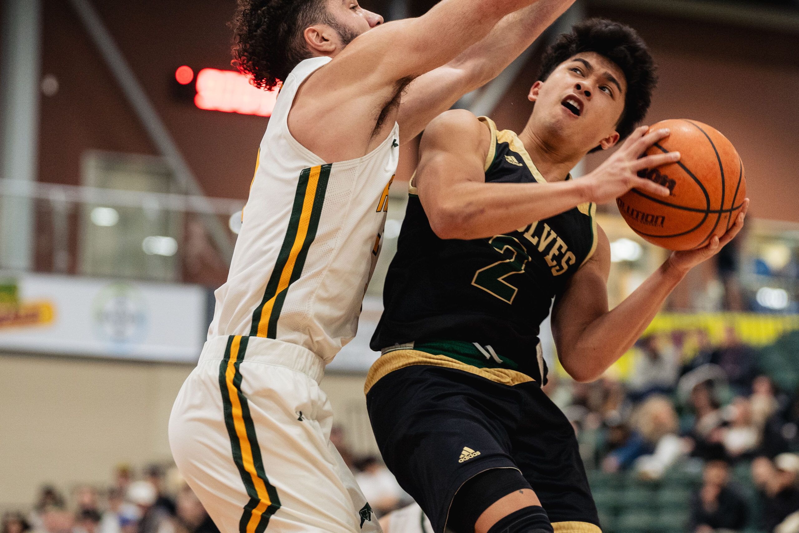 UNBC Timberwolves unveil 2024-25 basketball schedule – My Prince George Now