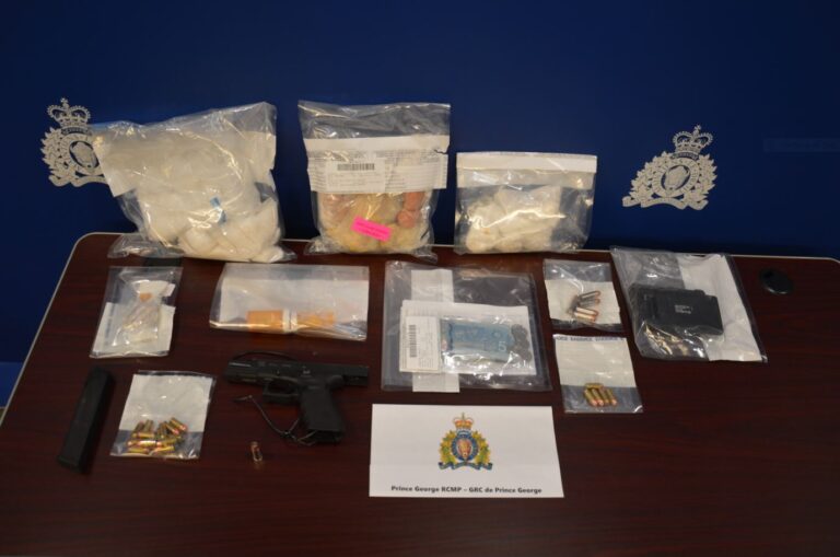 Speeding ticket leads to drug and weapon seizure