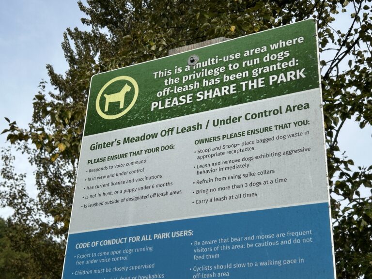 Perry Park off-leash area expected to be complete in November