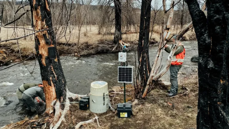 UNBC a key partner in research to restore watersheds and salmon habitats post-wildfires