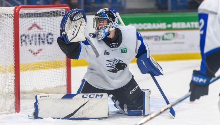 Spruce Kings add goalie with QMJHL Finals experience