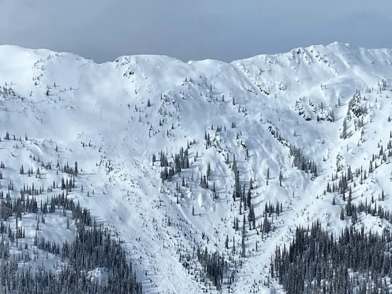 Avalanche Canada unveils warning for majority of B.C and Alberta mountains